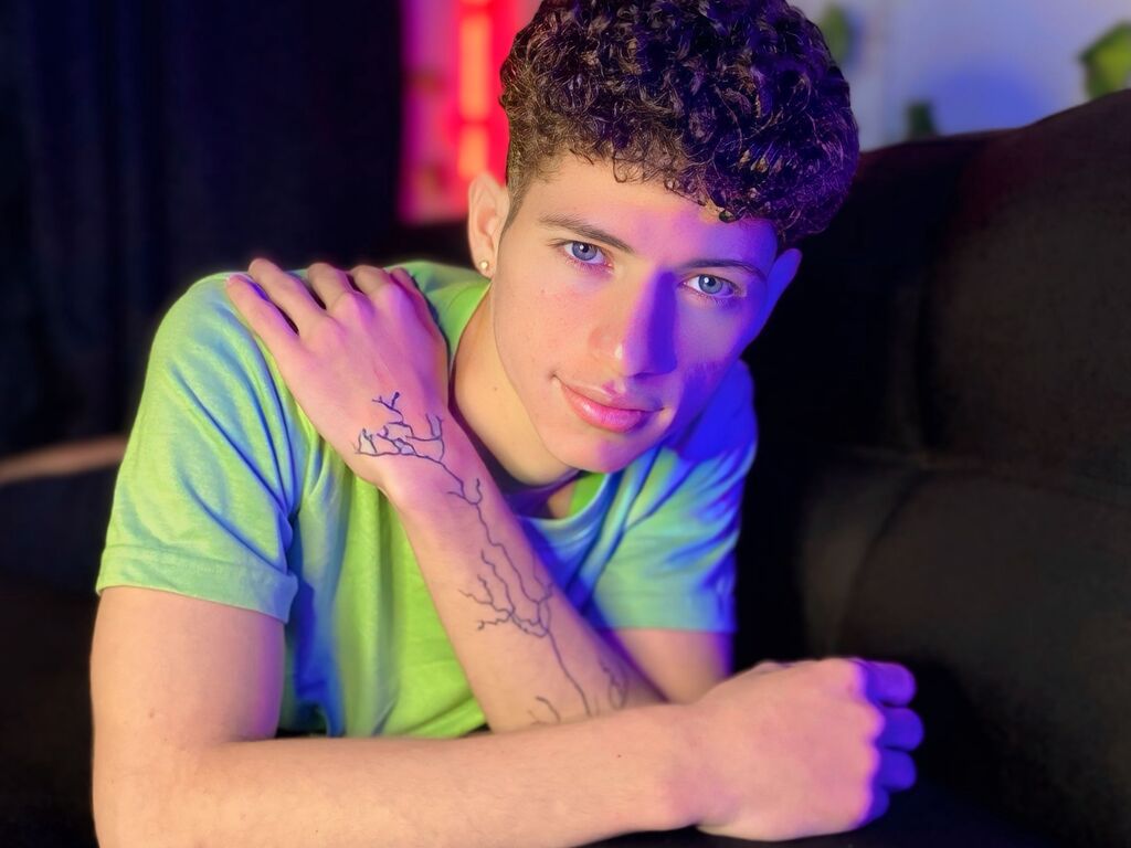 MattiaMeyer Profile Image