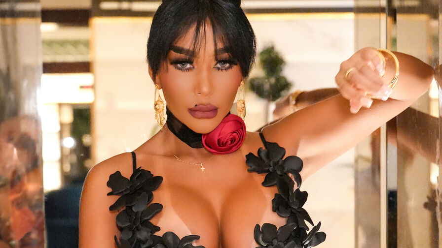 See Dolce’s Cam Show Now