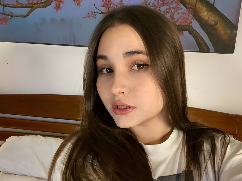 vikkimoon