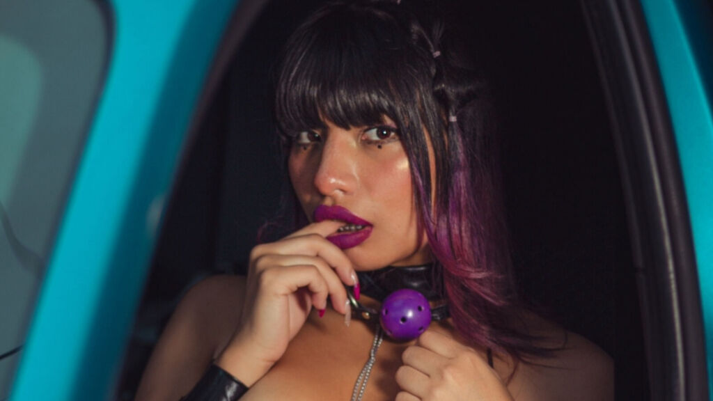 VioletHogtiee cover