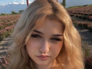 CloudyFox CloudyFox