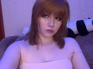 spy web cam MiSokimo