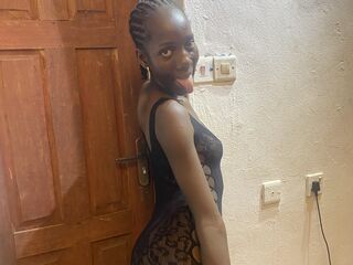 Webcam model VelunaLexan from Web Night Cam