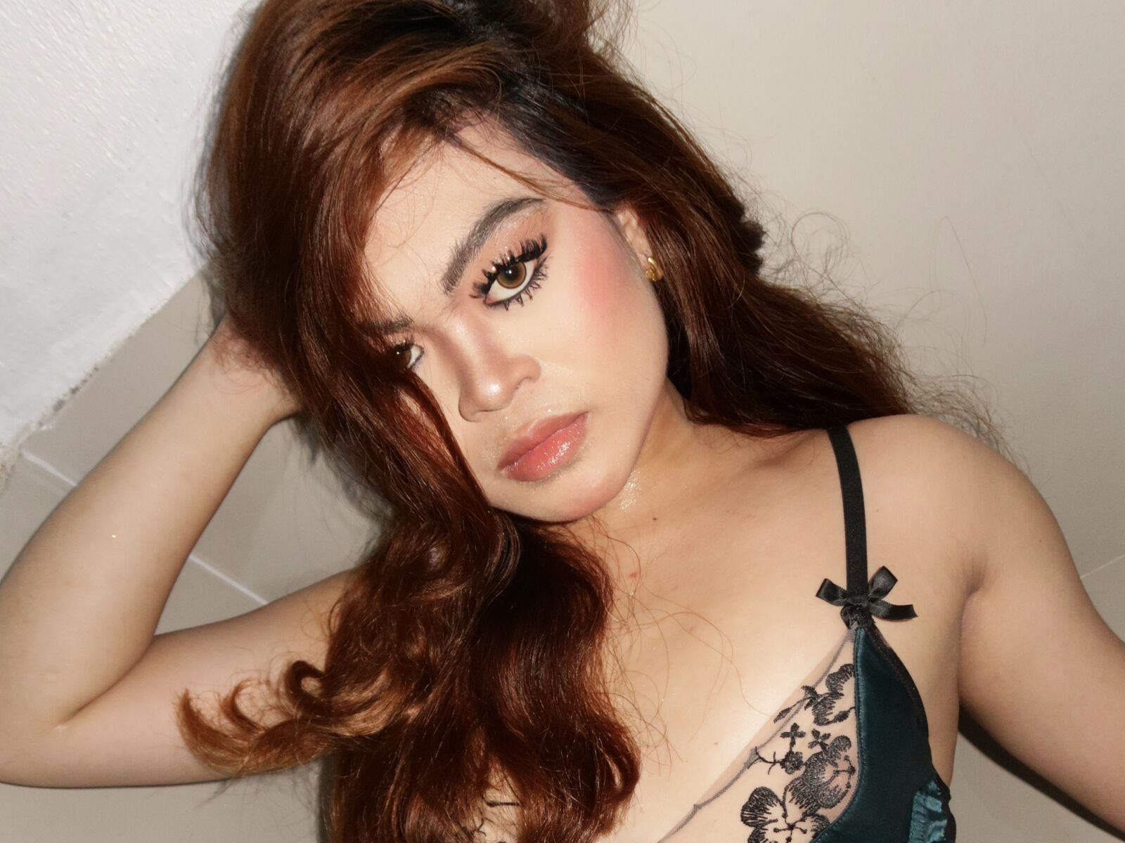 Live cam for AsterDixon