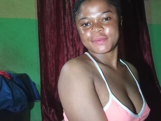 Webcam model ConfiBight from Web Night Cam