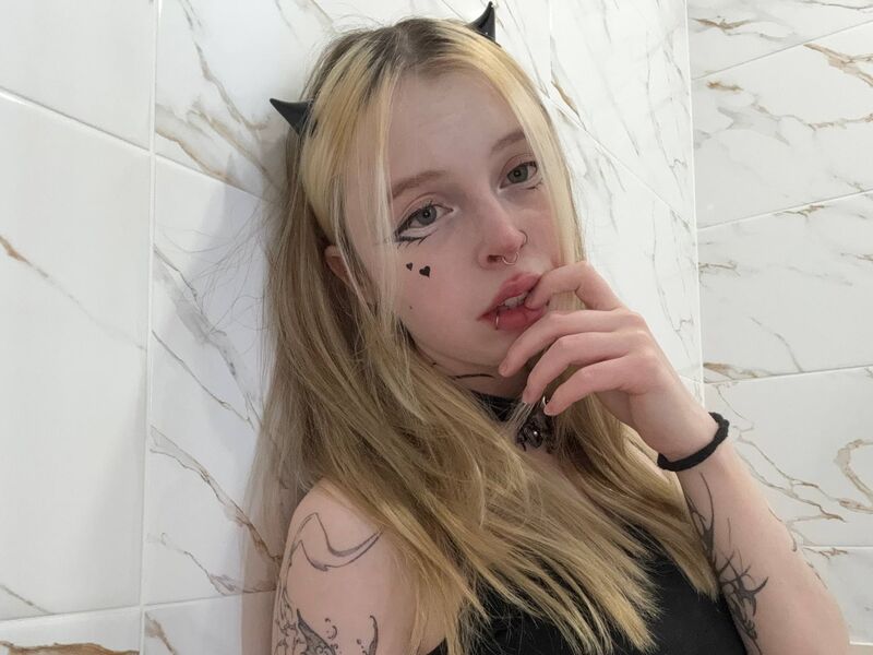 HildDryer Profile Photo