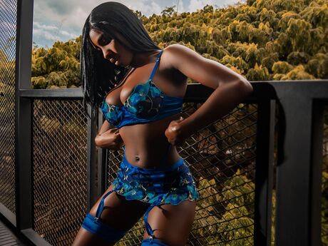 Chat with CrischelNovaks