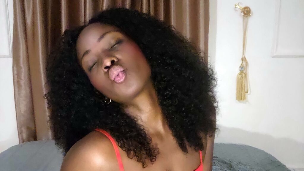 LuluWilde cover