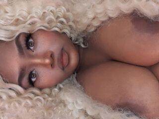 BarbieThiara BarbieThiara