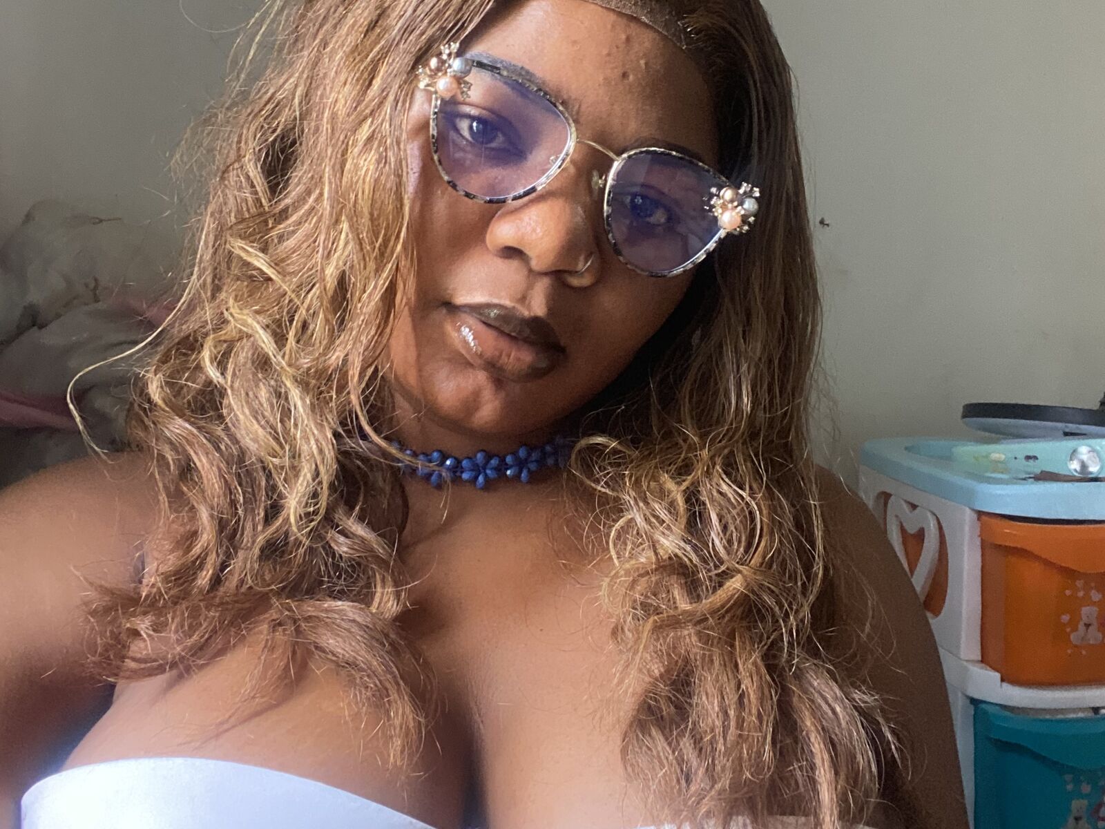Live cam for WilliamsVera
